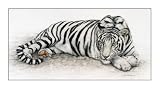 Siberian Tiger Decorative Art Poster Print by Jan Henderson, 36×20