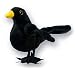 Finger-Marionette: RSPB Amsel