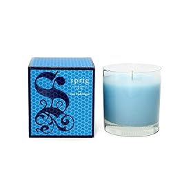 SPRIG Fragrances Classic Candle - Blue Hydrangea
