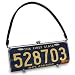 Littlearth Fender License Plate Purse -Delaware