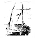 Cleaning The Mirror