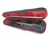 ViolinSmart 4/4 Full Size Student Violin w/Bow, Case, and Rosin - Solid Black