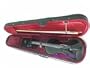 ViolinSmart 4/4 Full Size Student Violin w/Bow, Case, and Rosin - Solid Black