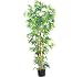 Nearly Natural 6Feet Multi Bambusa Bamboo Silk Tree