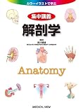 解剖学 (カラーイラストで学ぶ 集中講義) 解剖学 (カラーイラストで学ぶ 集中講義)