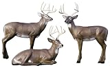 McKenzie  HD Bedded Buck Target Midsection Only
