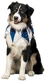 Star of David Holiday Dog Collar Blue & White Velvet with Silver Bells - Large