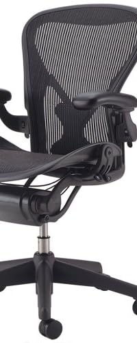 ハーマンミラー アーロンチェア ポスチャーフィット フル装備 AE113AWB PJG1BBBK3D01