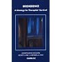 Irreverence: A Strategy for Therapists' Survival (Systemic Thinking & Practice)