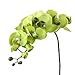 1 x Artificial Butterfly Orchid Flower Plant Home Decor - Green