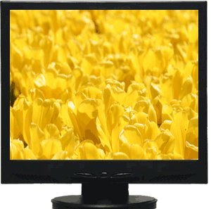 Major Brand HP DELL Monitor Used