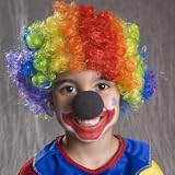 Multi Color Clown Wig