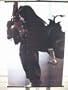 Final Fantasy 7AC: Vincent Valentine 60x90cm Wallscroll