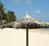 17 ft Palapa Tiki Tahitian Thatch Umbrella Structure Kit