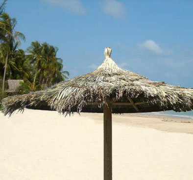 17 ft Palapa Tiki Tahitian Thatch Umbrella Structure Kit