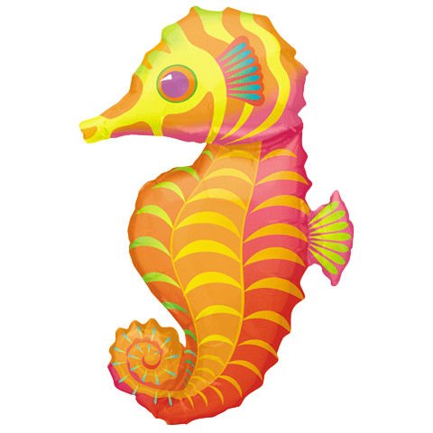 Seahorse Shaped 35