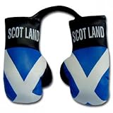 Scotland Flag Mini Boxing Gloves