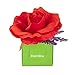 BloemBox Organic Rose & Lavender Sachet - Bella Rouge