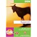 Talk Spanish