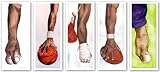 Tee It Up-Pigskin-Old School-Knockout-Hardball - Giclee Set by Kenneth Gatewood 15x42
