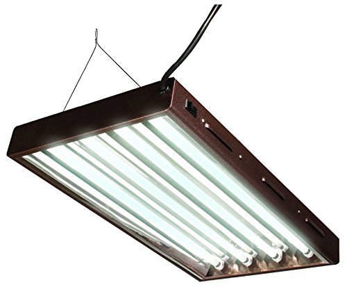 T5 Designer 2ft 4 Tube Fixture W Bulbs Flp24 Purchase Patio