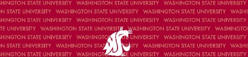 Washington State Cougars Team Auto Visor Decal