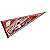 Kasey Kahne Pennant and 12" X 30" NASCAR Banner