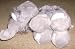 Webkinz Elephant with No Magic W