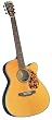 Blueridge BR-163CE Historic All-Solid East Indian RoseWood 000 Guitar with Cutaway and Fishman Prefix Plus-T Pickup