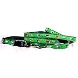 Australian Shepherd - Green Collar and Lead Set