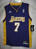 Lamar Odom Los Angeles Purple NBA Youth Revolution 30 Replica Jersey