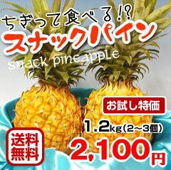 激安特価【送料無料＆お試し】スナックパイン1.2ｋｇセット(2～3玉)出荷開始
