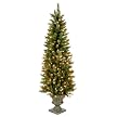 Pre-Lit Lakewood Spruce - 6'