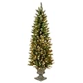Pre-Lit Lakewood Spruce - 6'