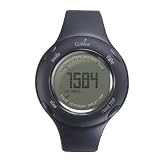 GoWear fit Display Device