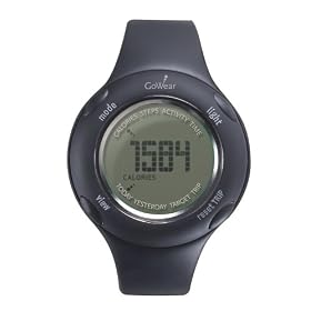 GoWear fit Display Device