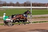 Wallmonkeys Peel and Stick Wall Decals - Harness Racing.trotting Horse. - Removable Graphic