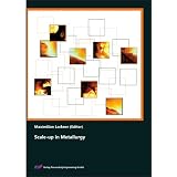 Scale-up in Metallurgy