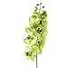 1 x Artificial Butterfly Orchid Flower Plant Home Decor - Green
