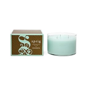SPRIG Fragrances 3 Wick Candle - Moroccan Tea