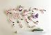 Cherry Blossom & Butterflies Metal Wall Art By Collections Etc