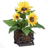 11" Sunflower in Square Wood Planter Case Pack 12
