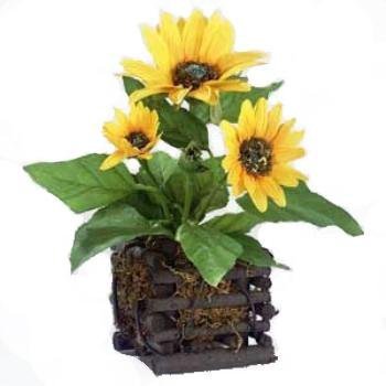 Bulk Savings 380209 11 Sunflower In Square Wood 