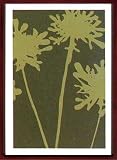 インテリアアート・ポスターフレーム デュプロック Duplock Pompom Nutmeg 525x725x30mm
