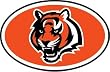 Cincinnati Bengals Oval Color Chrome Auto Emblem Decal NFL Football