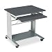 MAYLINE COMPANY Empire Mobile PC Cart With Keyboard Tray, 28-1/2 x 23 x 28-3/4, Metallic Gray