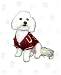 Holiday Little Prince Dog Outfit- Size Medium