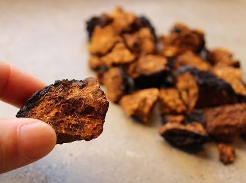 Chaga Tea Nuggets,Choice Grade, Makes 34-50+ Servings,100% Wild Harvested,Adirondacks,Maine 4 Ounces Chaga Tea