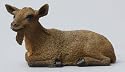 Goat Brown Tiny One