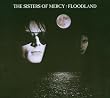 Floodland: Remastered and Expanded